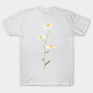 white daisy watercolor T-Shirt